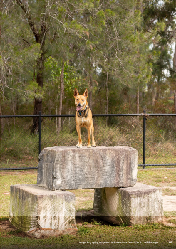 A dog standing on a rock

AI-generated content may be incorrect.